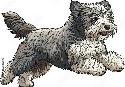 Polish Lowland Sheepdog running energetic cheerful playing movement