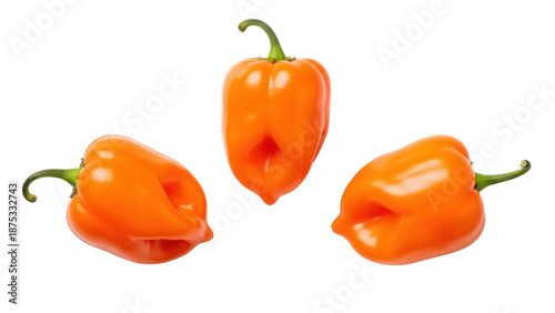 Fényképezés Three orange habanero peppers PNG isolated on transparent background, hot chili