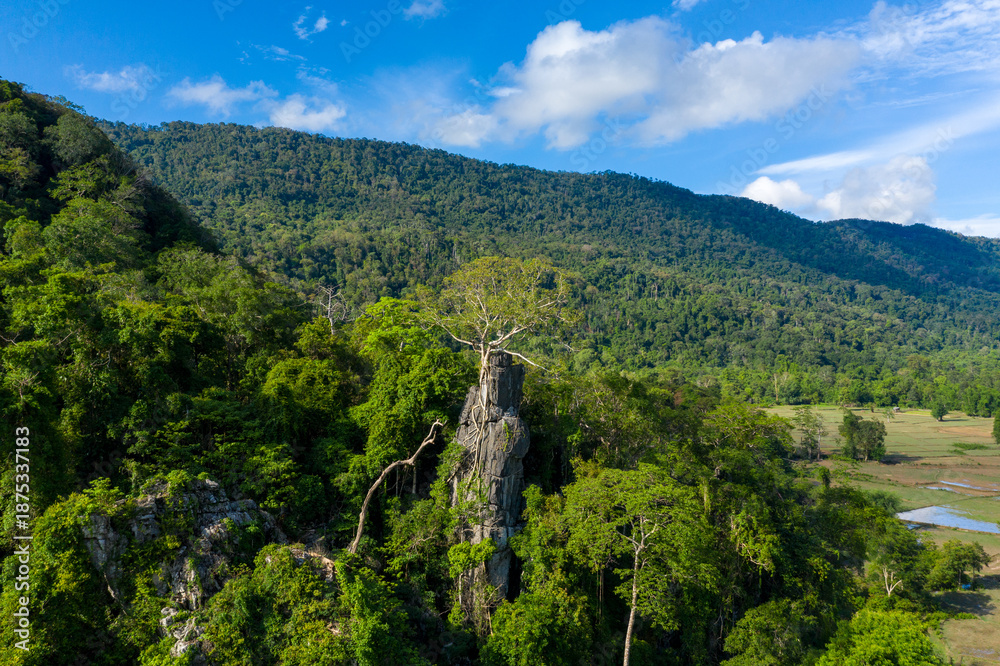 Fototapeta premium A solitary tree stands on a dramatic limestone rock formation surrounded by dense tropical forest, with rolling green hills and open fields under a bright blue sky. The landscape features vibrant