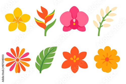 Tropical Floral Icons. Tropical Florals vector set in modern flat style : plumeria bloom, heliconia curve, lush orchid, coconut flower sprig, vibrant petal