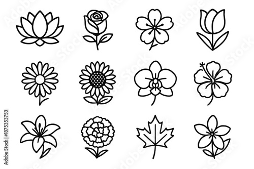 National Flower Icons. National Flowers set in outline vector style : lotus, rose, cherry blossom, tulip, daisy, sunflower, orchid, hibiscus, lily, marigold, maple leaf, jasmine