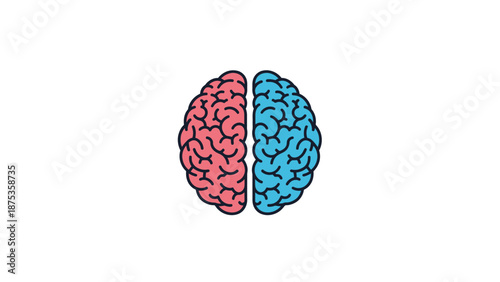 Brain hemispheres illustration, left and right sides, creative concept.