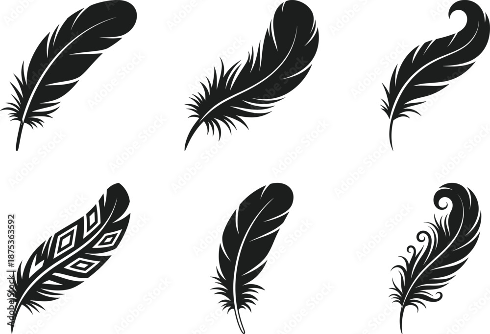 Obraz premium Decorative Feather Silhouette Vector Set Collection
