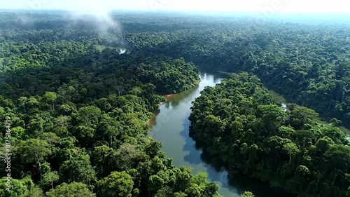 Aerial view of a winding river flowing through a dense green rainforest canopy.
