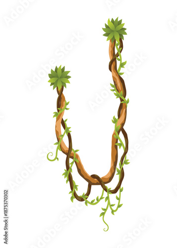 Liana branch. Twisted wild jungle vine plants. Woody natural tropical rainforest, exotic botany element. Vector design element