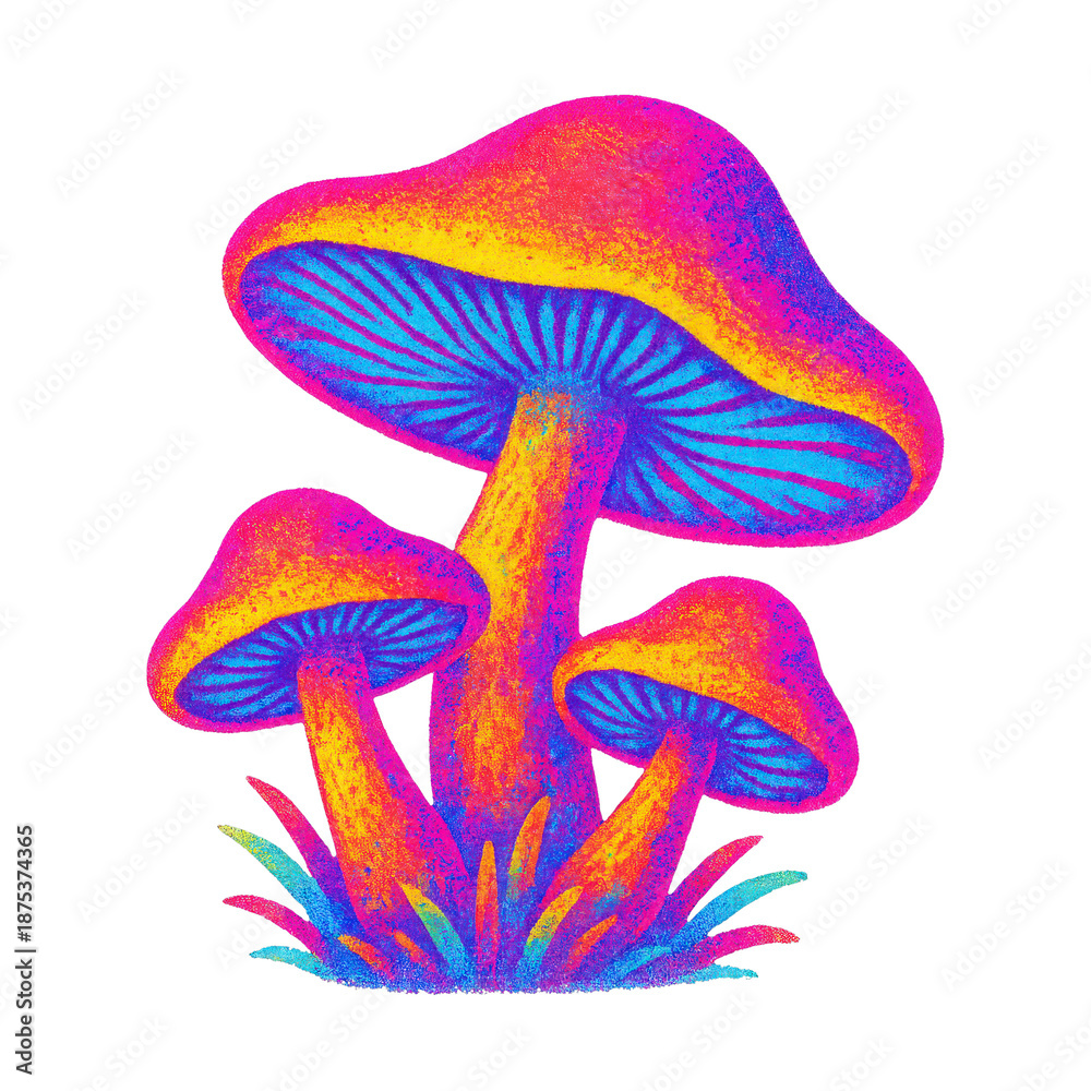 Fototapeta premium PNG Vibrant psychedelic mushroom illustration