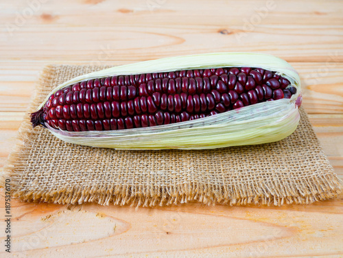 Purple corn or purple maize