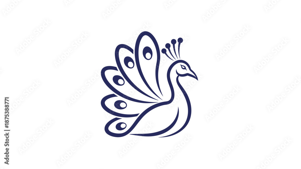 Fototapeta premium Elegant Peacock Illustration with Intricate Feather Details on White.