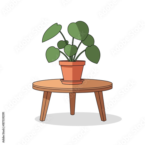 Pilea Peperomioides plant in terracotta pot on wooden table, flat design