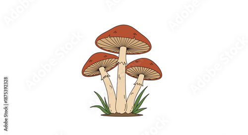 Whimsical illustration of a cluster of brown-capped mushrooms with visible gills and light stems, surrounded by green grass against a clean white background.
