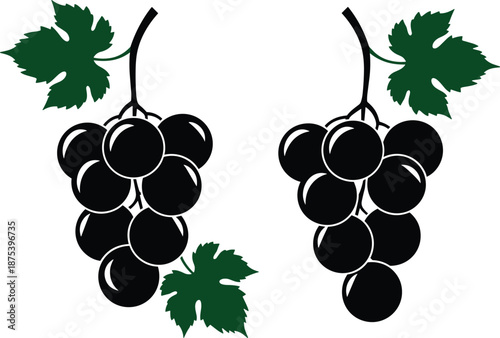 Black grape cluster vector illustration, glossy grapes with green leaves, healthy fruit design, wine agriculture concept, organic vineyard harvest, fresh food artwork