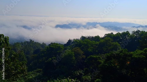 Wallpaper Mural foggy mountain range with trees and blue sky Torontodigital.ca