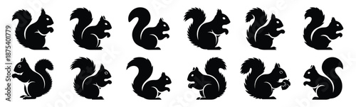 squirrel silhouette vector icon set, black clipart collection, Animal silhouette icons illustration graphic design