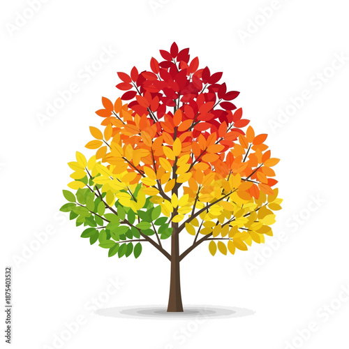 Colorful Autumn Tree with Red, Orange, Yellow, Green Leaves on White Background