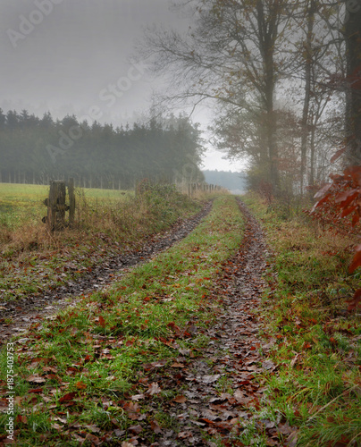 Naskaltes Schmuddelwetter in der Eifel