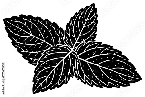 Beautiful shiloutte leaf for USA Designer