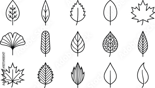 Black and White Vector Line Art Icon Set Featuring Various Tree Leaf Shapes Including Maple Ginkgo Oak and Elm for Nature and Environment Design