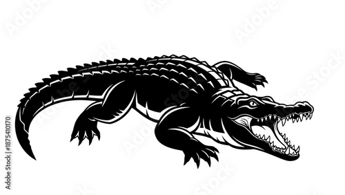 Black and White Crocodile Illustration Open Mouth.