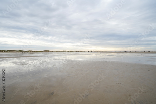 Dune landscape at Rømø island Denmark
beautiful north sea island of rømø lakolk beach in Denmark vadehavet national park fly kites swim surf