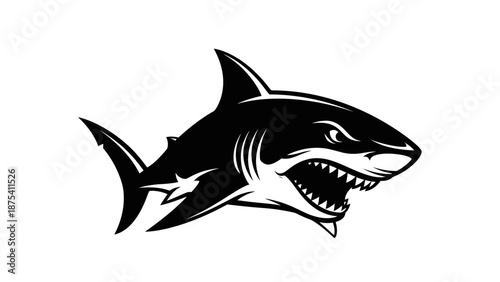 Black and White Shark Illustration.