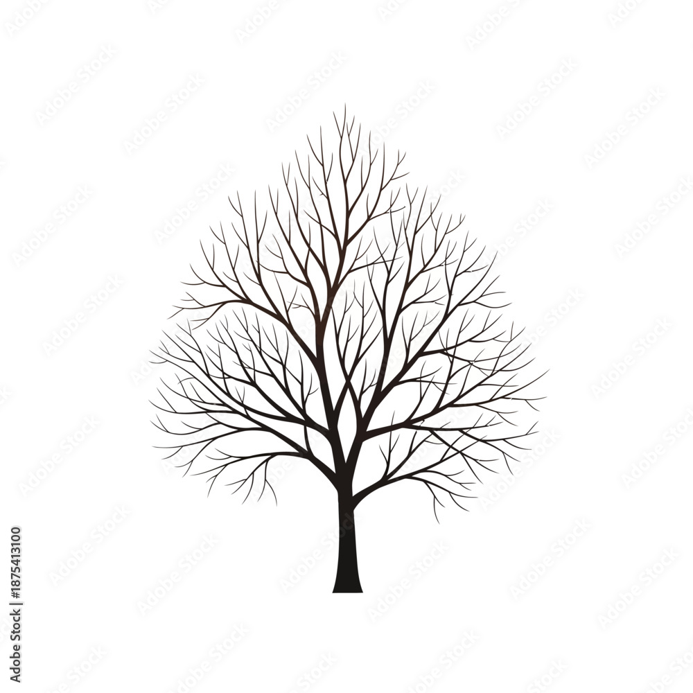 Obraz premium Bare Tree Silhouette Isolated on White Background