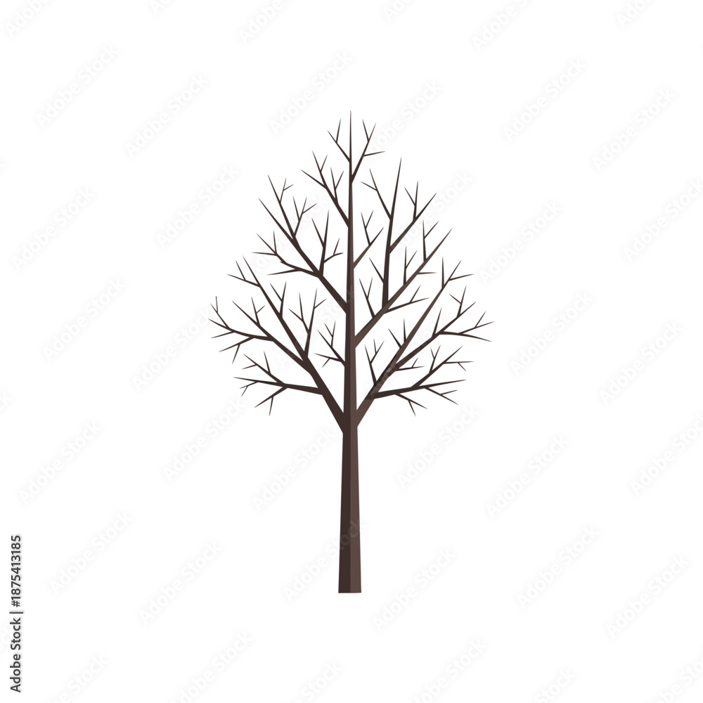 Fototapeta premium Bare Tree Silhouette Isolated on White Background - Winter Season
