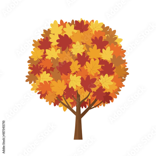 Autumn Tree with Colorful Maple Leaves Isolated on White Background