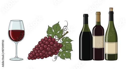 Gourmet set featuring a glass of red wine, a large bunch of purple grapes with green leaves, and three different bottles of wine for wine tasting.