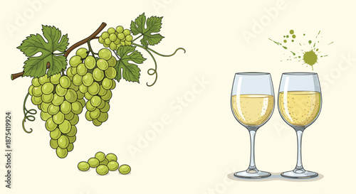 Harvest themed scene featuring a large bunch of green grapes with leaves and two glasses of chilled white wine on a light cream background.