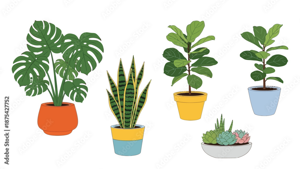 Obraz premium A charming collection of five popular potted house plants including a monstera deliciosa snake plant and succulents displayed in colorful containers illustration