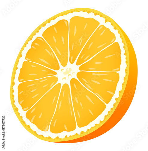 Fresh Halved Orange Flat Vector Illustration