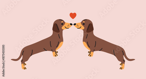 Happy Valentine’s day Dachshunds with heart symbol. Loving Dachshunds kissing flat illustration. Cute cartoon sausage dogs. 