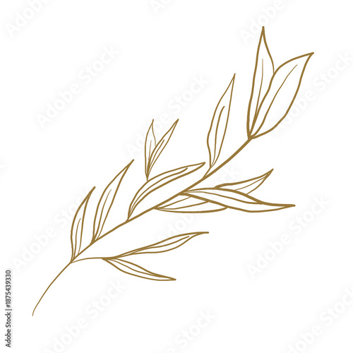 elegant foliage leaves