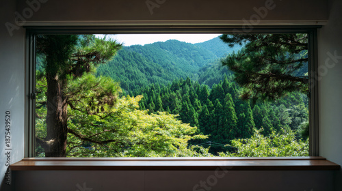 Looking out through a window frame at bright green trees in the spring sunlight