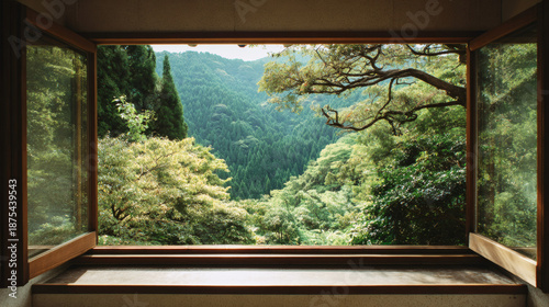 Peaceful view of a green forest through an open window frame, new life concept