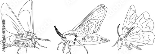 Mystical witch kit collection. Hand drawn line art with occult symbols. Perfect for modern witchcraft, tarot and esoteric designs. Boho magic vibe