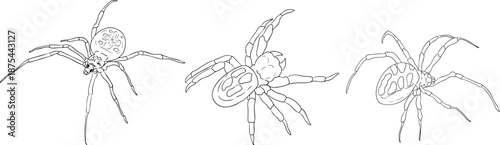 Mystical witch kit collection. Hand drawn line art with occult symbols. Perfect for modern witchcraft, tarot and esoteric designs. Boho magic vibe