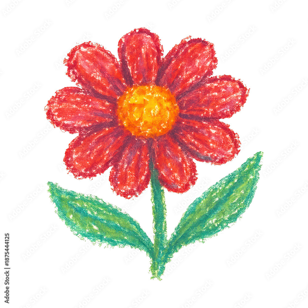 Fototapeta premium PNG Crayon drawing of red flower.