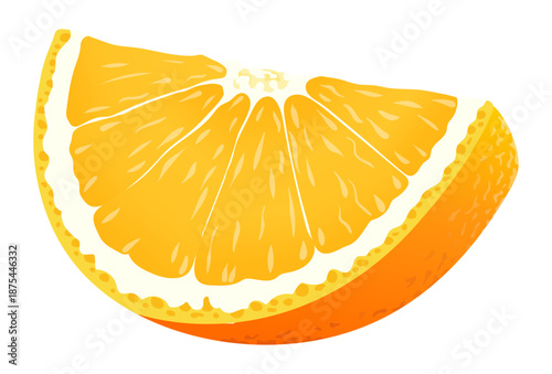 Juicy Orange Slice Citrus Fruit Illustration