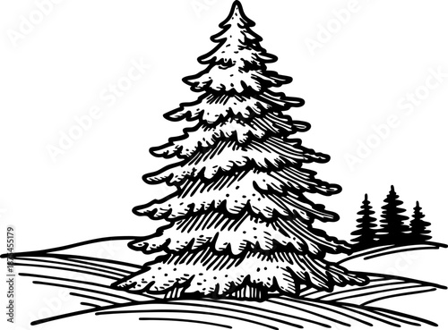 Large pine tree in forest landscape with rolling hills and distant trees in black and white