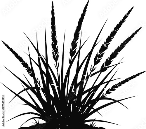 wheat plant silhouette with grains and long leaves isolated on white background