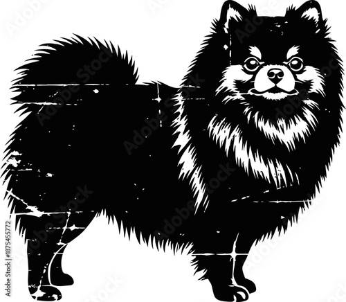 Illustration of a fluffy small dog with a thick coat standing in profile, vintage