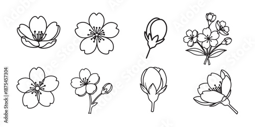 Collection of hand drawn cherry blossom flowers and buds