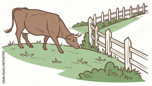 Brown cow grazing near white picket fence in green pasture