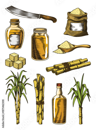 Cane sugar. Set of product from sugarcane plants. Engraving hand drawn natural organic food and natural ingredients. Fresh squeezed sugarcane in glass, sugar in heap and cubes, bamboo and rum
