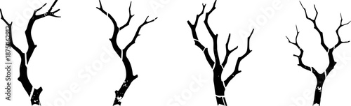 set of bare tree branches silhouettes with cracked bark isolated on white background