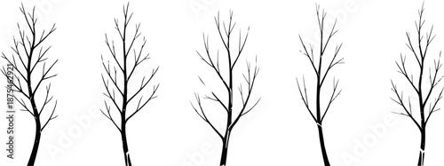 set of five bare winter trees with no leaves isolated on white background