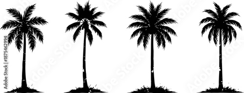 four black silhouettes of tall palm trees standing on small grassy patches with detailed fronds and trunks