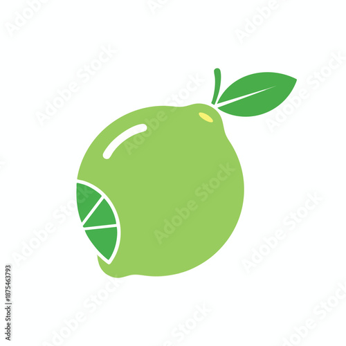 Fresh Green Lime Illustration