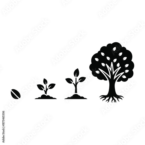 Tree growth stages from seed to mature plant